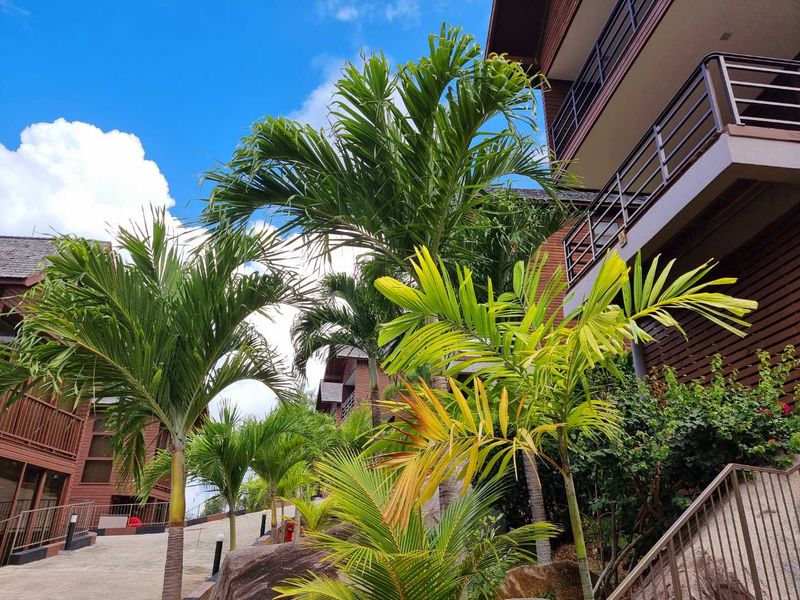 Exterior view of a multi-story commercial building featuring timber-style cladding, metal balcony railings, and landscaped tropical gardens with palm trees.
