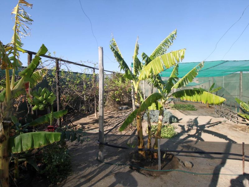 Beautiful Small Holding - Swakopmund River Plots - Photo 9