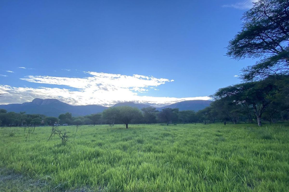 River Front Stand for Sale in Sharalumbi Wildlife Estate - Photo 2