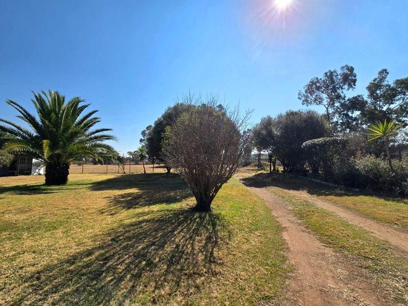 A spacious garden area featuring a dirt driveway, mature trees, and perimeter fencing on a small holding property.