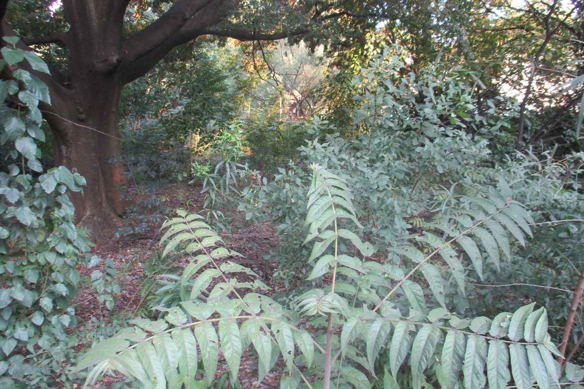 Tranquility - Photo 4