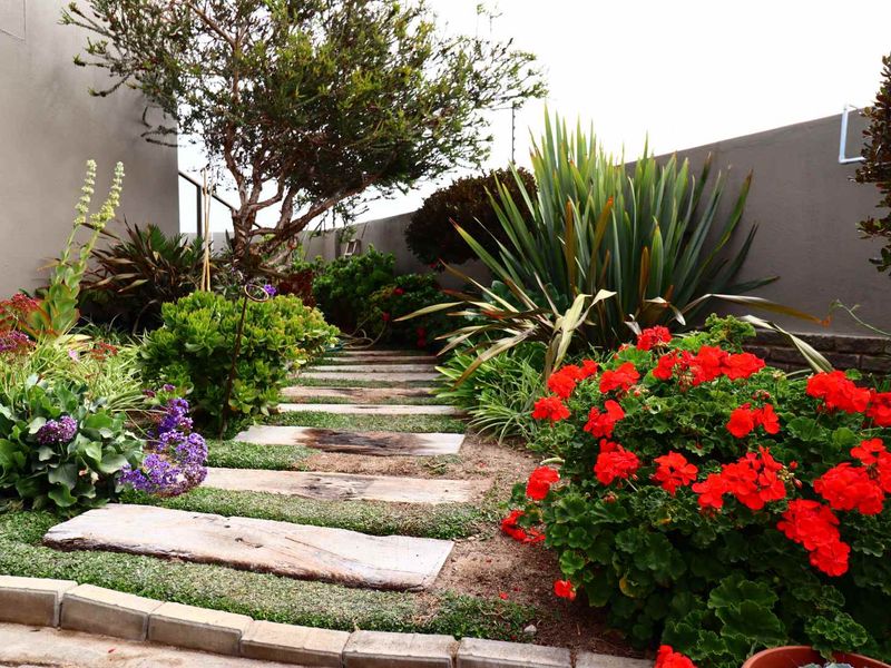 3-Bedroom Family Home with Flatlet for Sale in Swakopmund Namibia - Photo 7