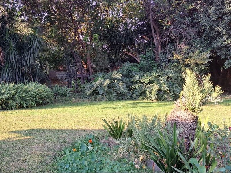 Prime 2.14Ha Farm in the Niche Market of Mushrooms and Pomegranates - Photo 3