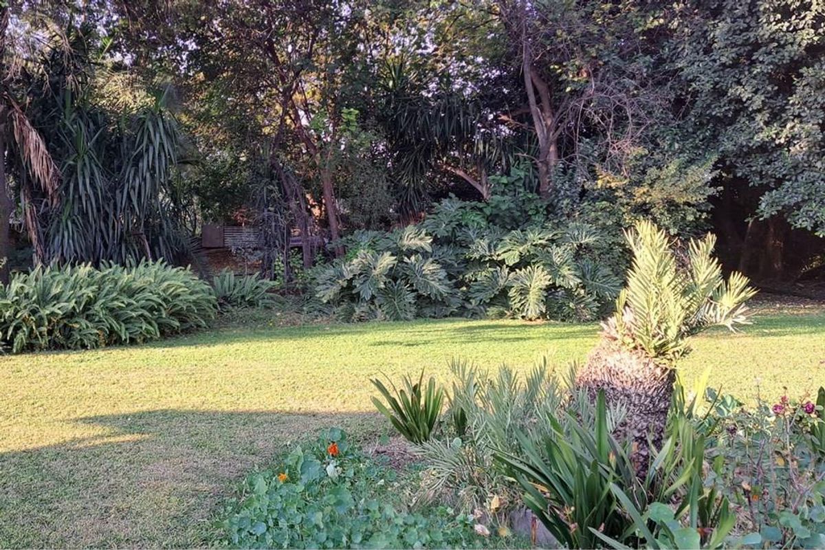 Prime 2.14Ha Farm in the Niche Market of Mushrooms and Pomegranates - Photo 3