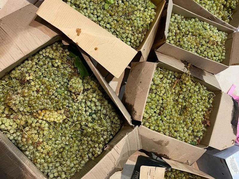 A Lifestyle Investment in the Heart of Nature - Photo 8