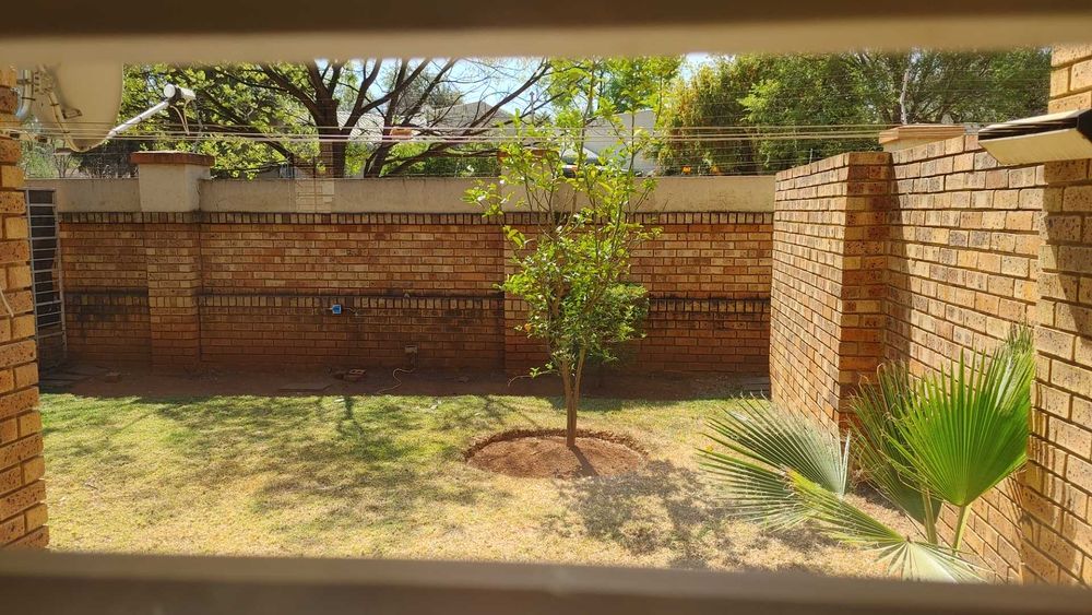 Small,  sunny garden