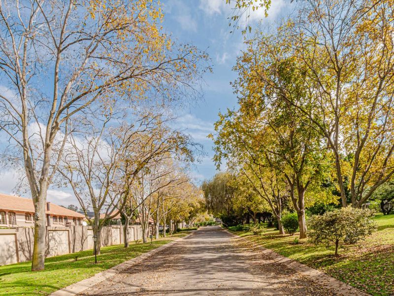 A scenic view of a paved driveway lined with mature trees and manicured lawns within a residential estate setting.