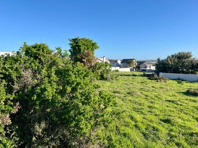 Prime Position In Langebaan - Photo 9