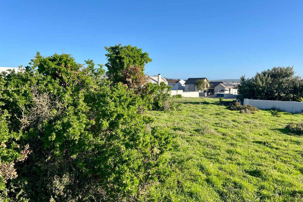 A view of a vacant residential plot featuring natural vegetation and surrounding neighborhood homes.