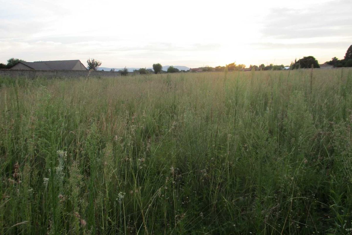 A wide-angle view of a vacant commercial land plot featuring tall grass and a perimeter boundary wall at the rear.