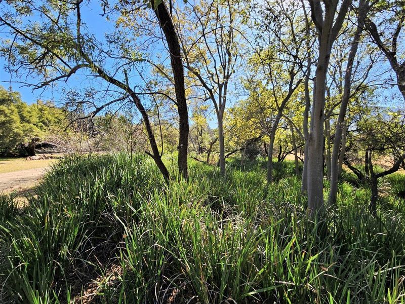 8300m2 Vacant Land in K'Shane, Kosmos - Photo 5