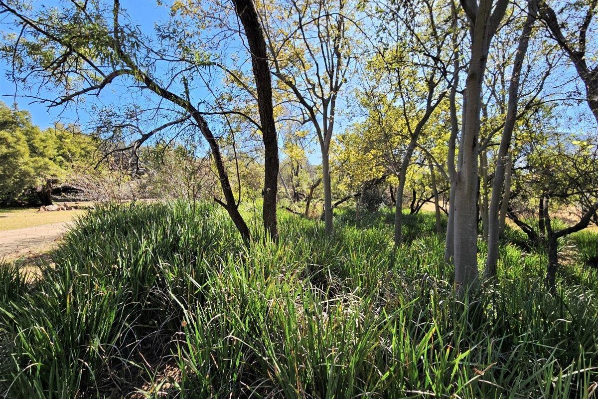 8300m2 Vacant Land in K'Shane, Kosmos - Photo 5