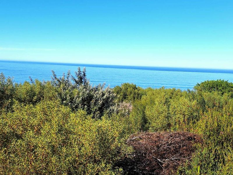 Spectacular 900m2 Vacant Land for Sale in Dana Bay - Photo 5