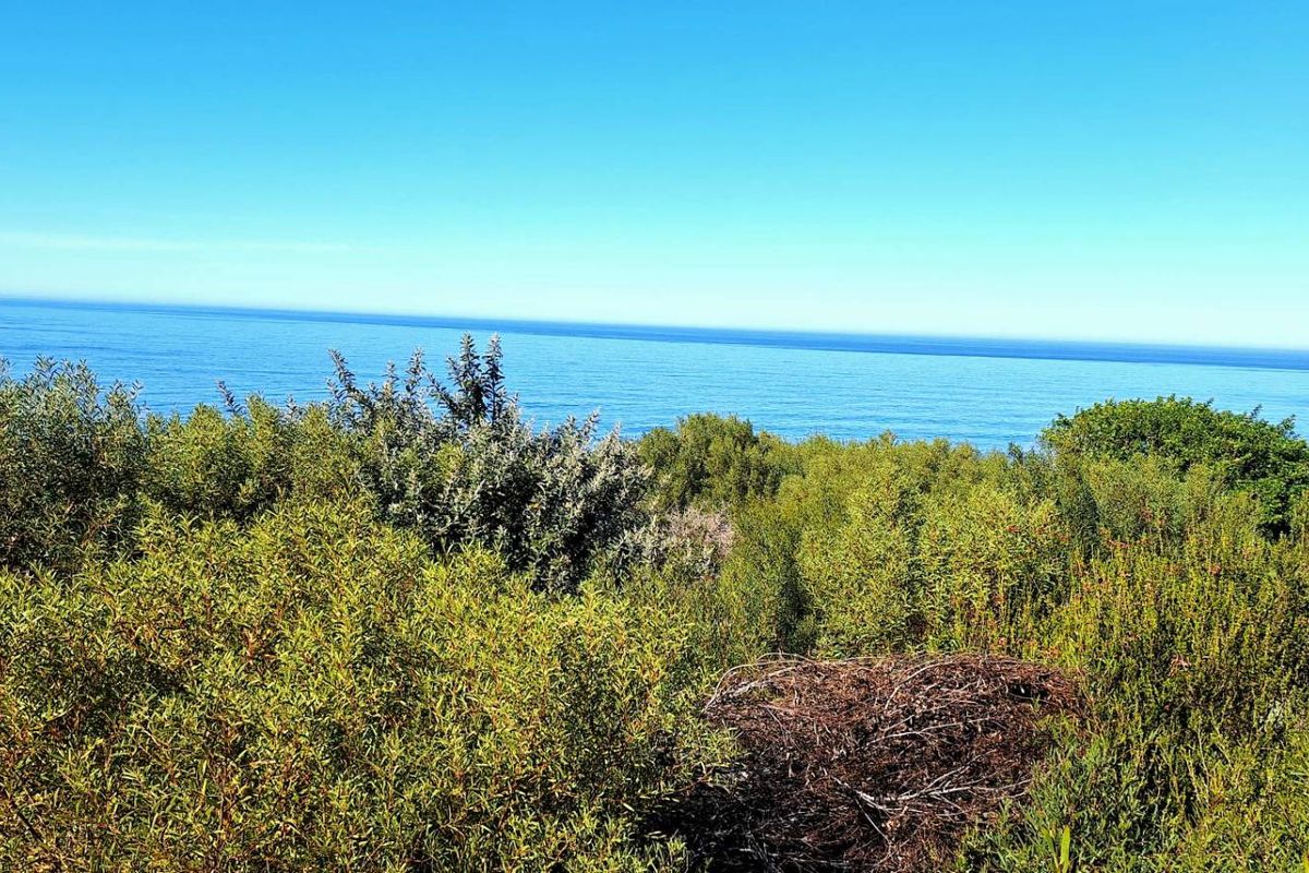 Spectacular 900m2 Vacant Land for Sale in Dana Bay - Photo 5