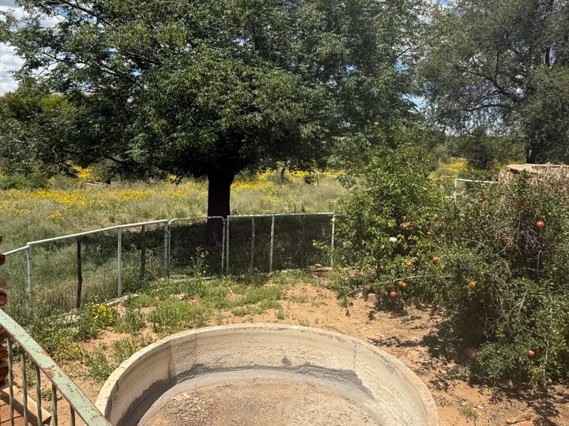 Old Farmhouse - nature living - Photo 3