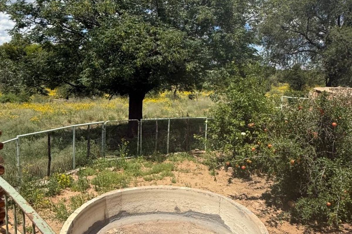 Old Farmhouse - nature living - Photo 3