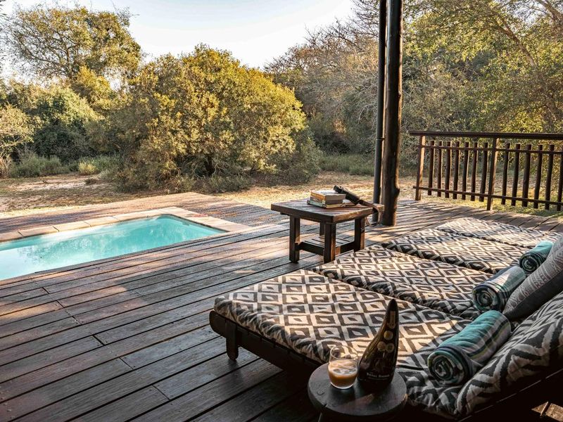 477 sqm Bush Lodge | Operating Holiday Rental | Offered as a Going Concern - Photo 9