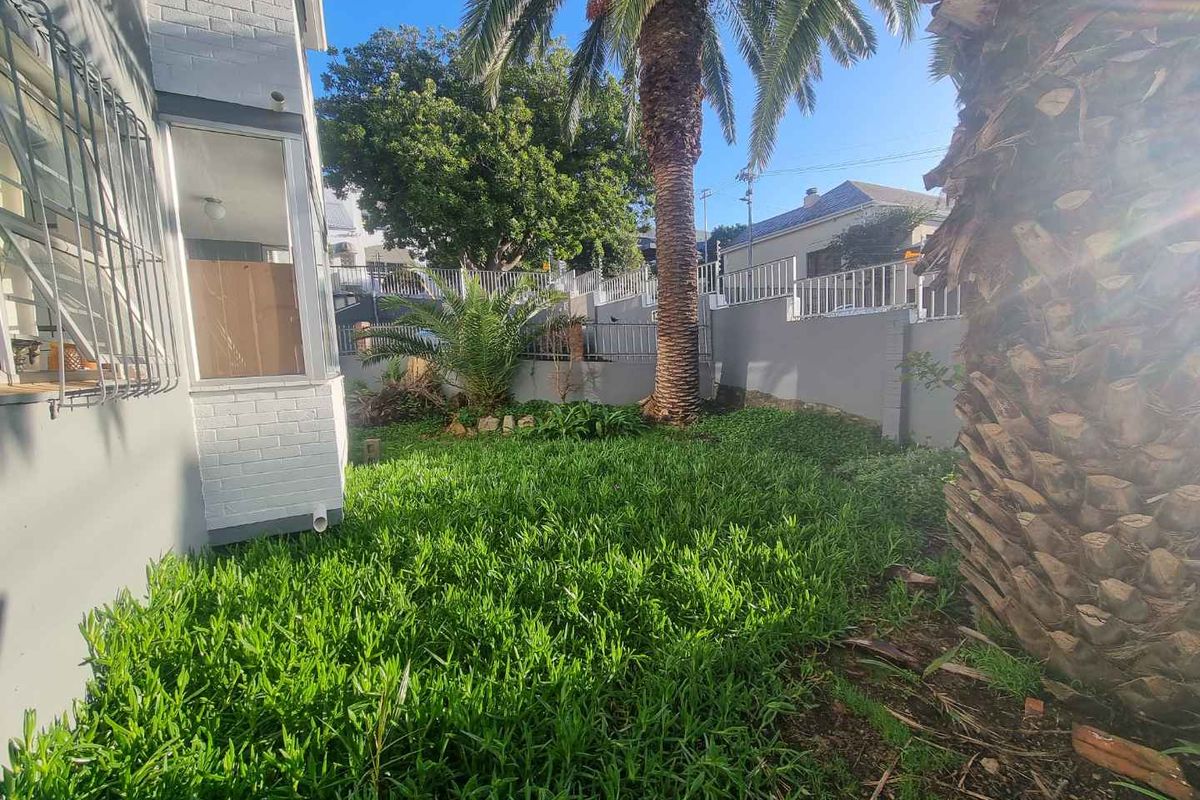 A private rear garden area featuring established palm trees, low-maintenance ground cover, and perimeter boundary walls.