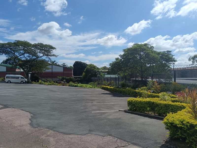 A paved parking area featuring marked bays, landscaped hedging, and perimeter security fencing under a clear blue sky.