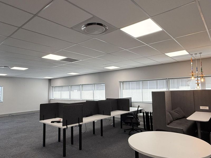 A modern, open-plan office space featuring suspended ceilings, recessed LED lighting, carpeted flooring, and large windows providing ample natural light.