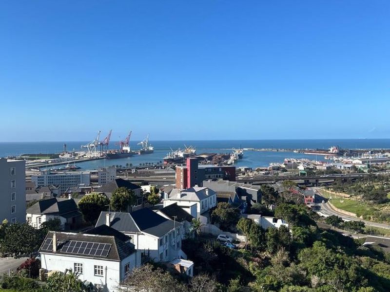 Sought After Albany - Photo 5