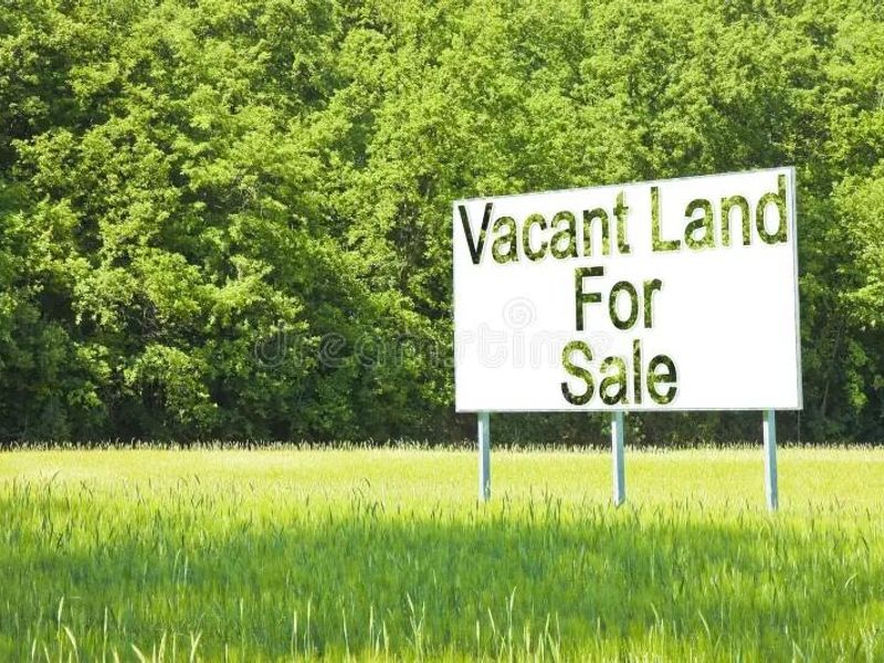 A vacant residential land plot featuring a large for sale sign set against a backdrop of dense green trees.
