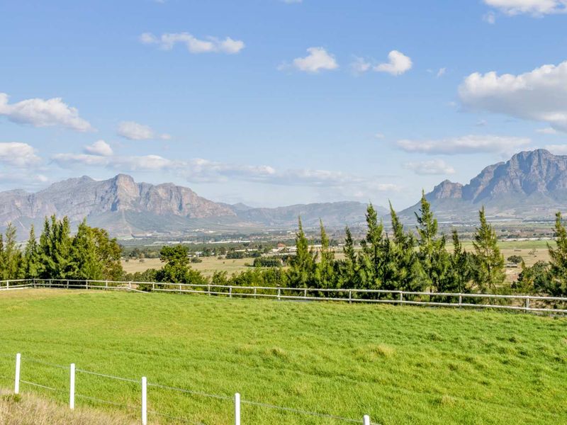 Farm with Opportunities in Drakenstein Rural - Photo 10