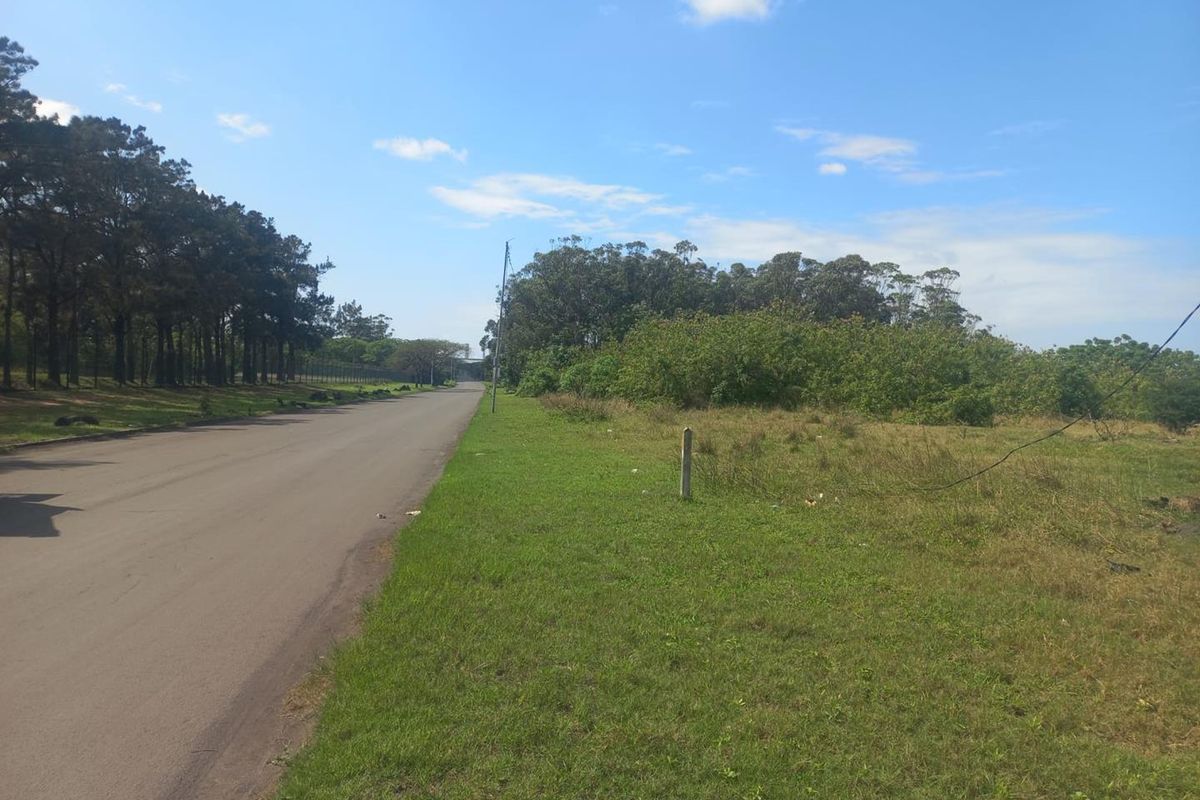 Prime Industrial Land for Sale – Sought-After Alton Location - Photo 4