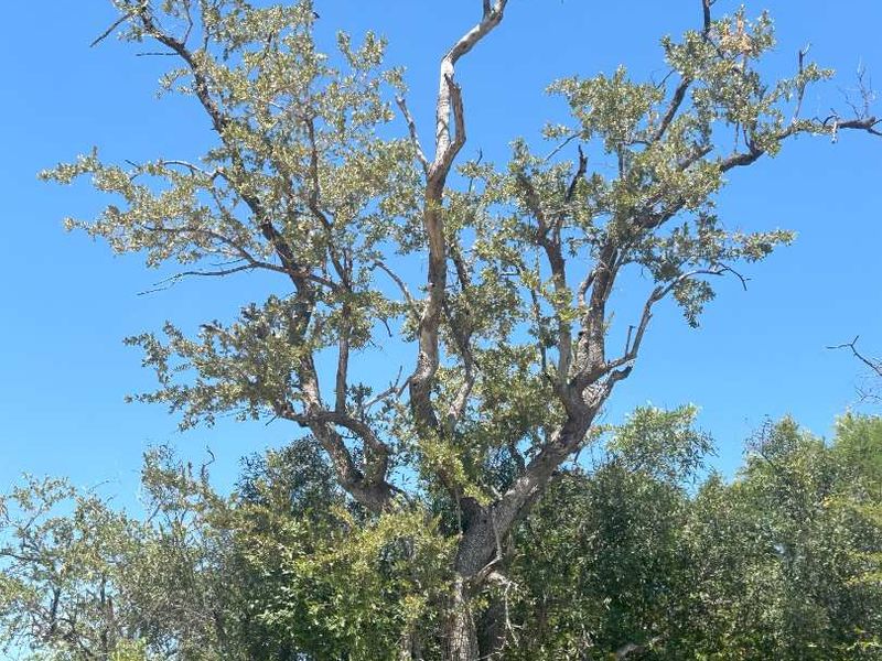 MODITLO WILDLIFE ESTATE - Vacant land for sale! - Photo 10