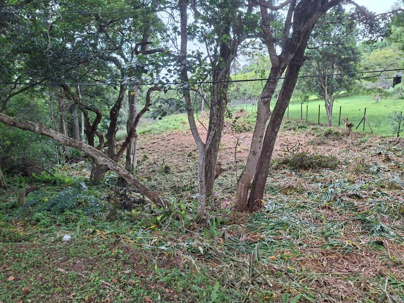 Nestled in the serene enclave of Crestview - Photo 8