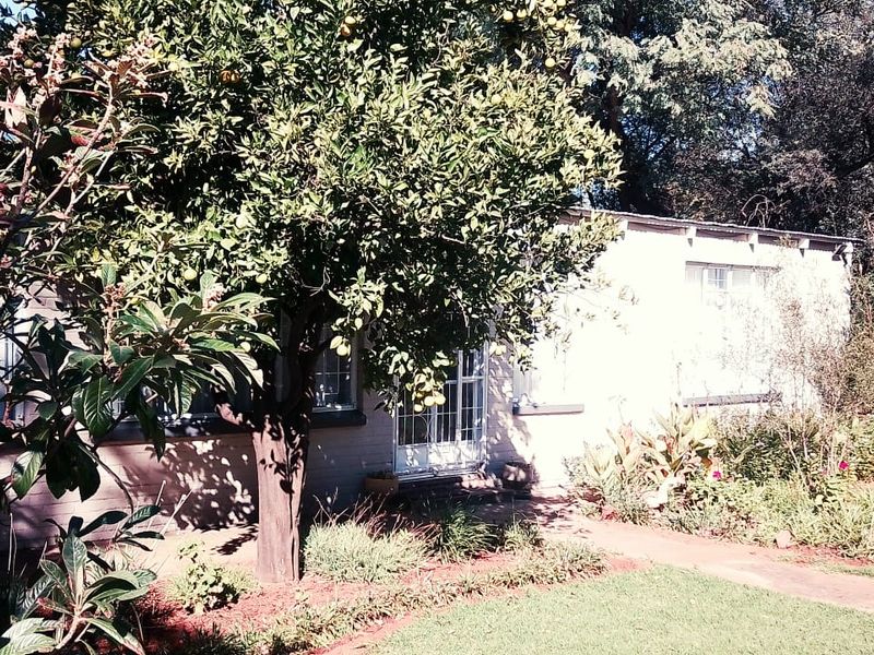 PLOT AVAILABLE WITH TO VERY LARGE GARAGES AND LICENECED MARIJUANA TUNEL - Photo 4