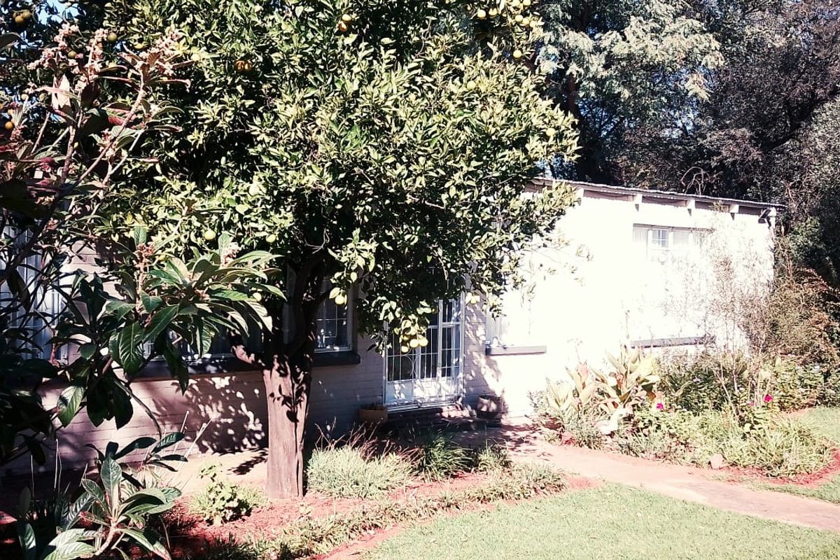 PLOT AVAILABLE WITH TO VERY LARGE GARAGES AND LICENECED MARIJUANA TUNEL - Photo 4