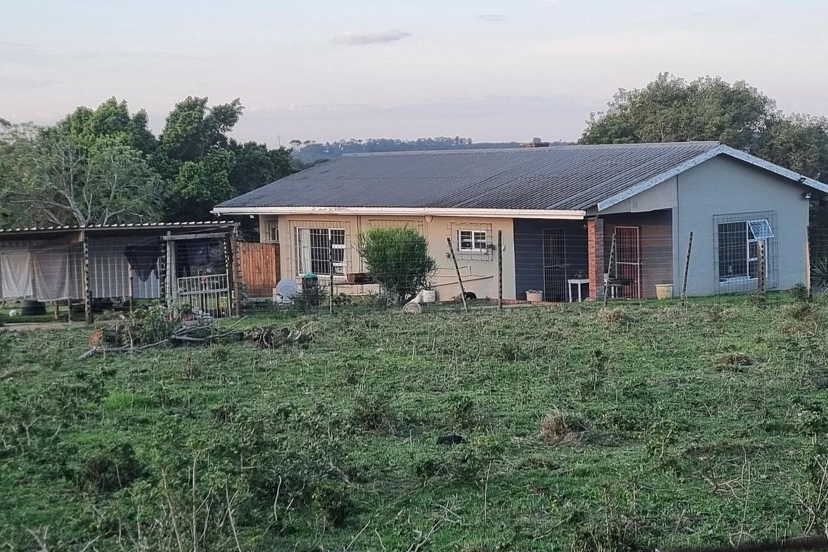 Rear view of a farm dwelling featuring a corrugated metal roof, security bars on windows, and an attached covered outdoor area set on rural land.
