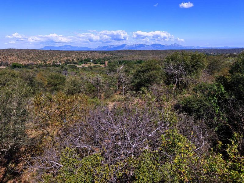 A scenic elevated view of the surrounding natural landscape, featuring dense native bushveld and distant mountain ranges under a clear blue sky.