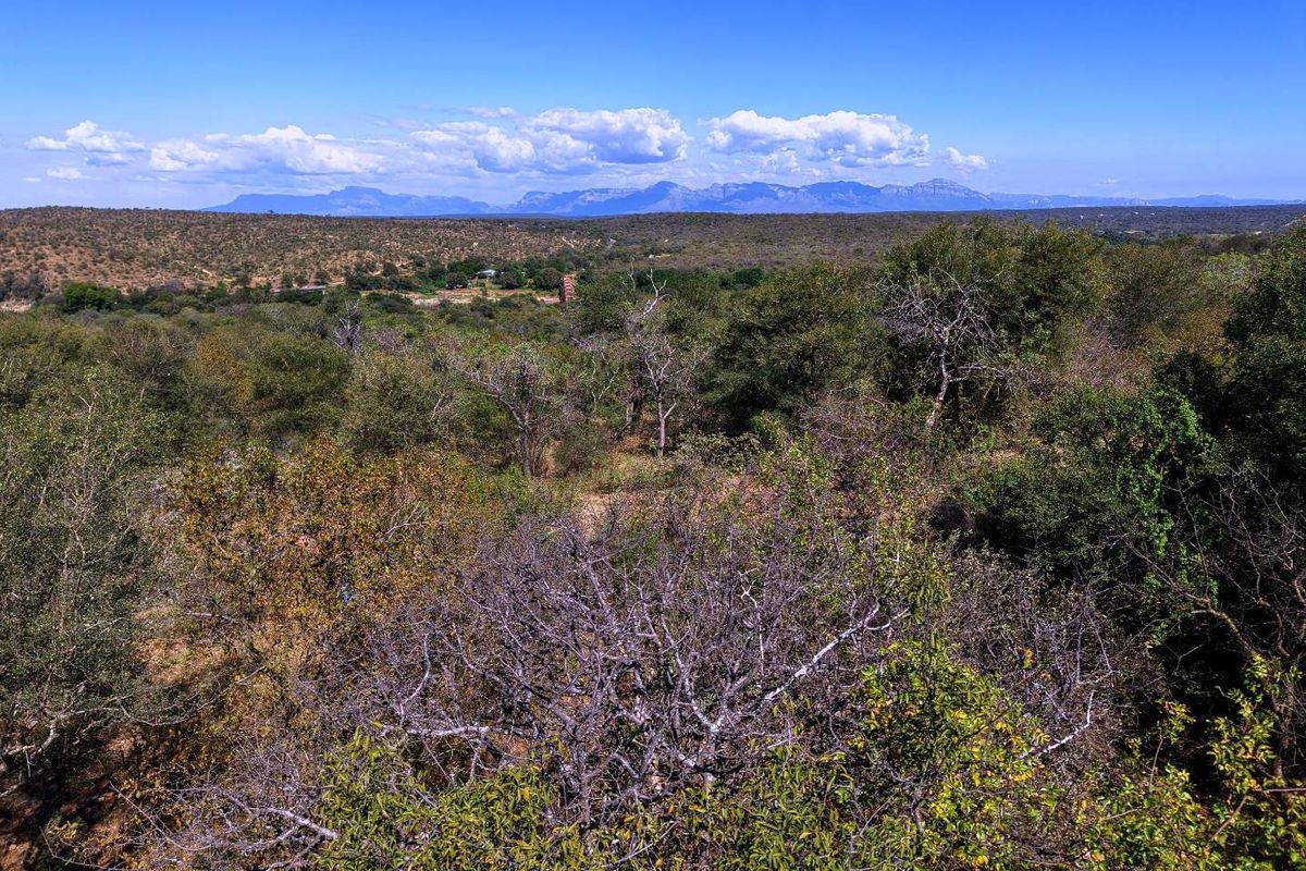 A scenic elevated view of the surrounding natural landscape, featuring dense native bushveld and distant mountain ranges under a clear blue sky.