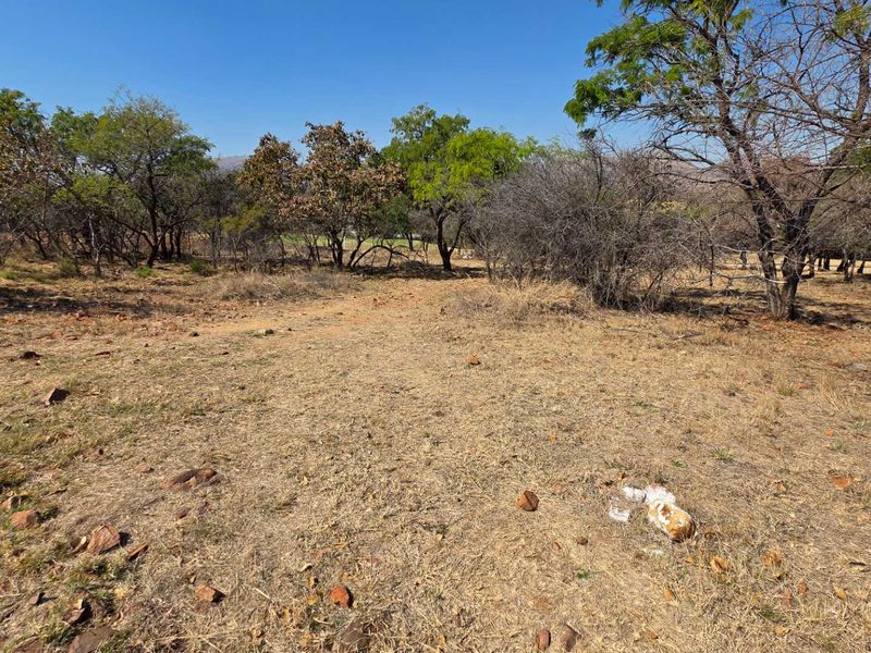 An undeveloped plot of land featuring natural dry grass and established indigenous trees under a clear blue sky.