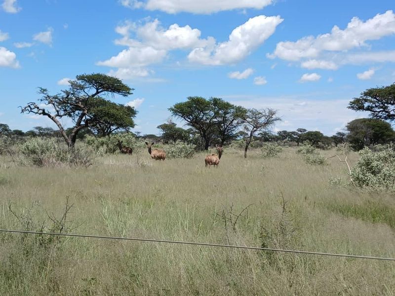 Beautiful Farm for sale in Namibia - Photo 10