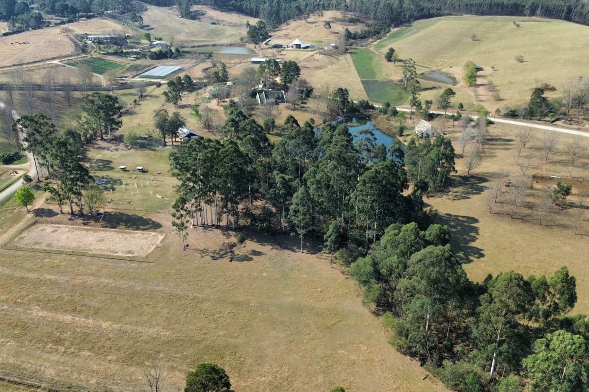 13.2ha Lifestyle Farm for Sale in Howick - Photo 4