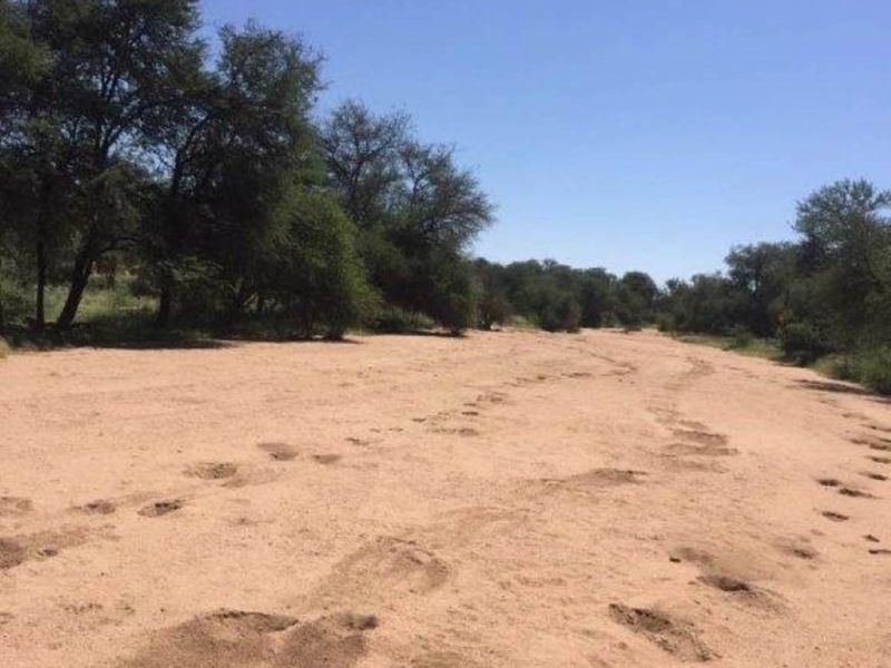 Smallholding 94 Ha at Ozombanda Wildlife Estate - Photo 4