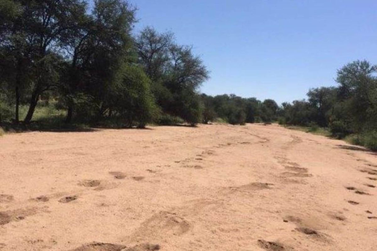 Smallholding 94 Ha at Ozombanda Wildlife Estate - Photo 4