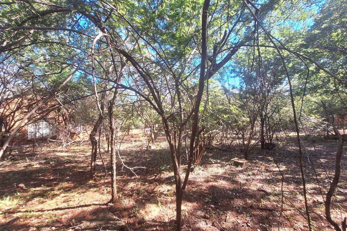 Secure Your Slice of Leeupoort's Natural Beauty Today - Photo 3