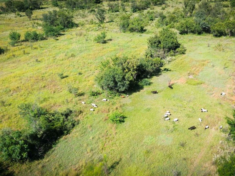 22ha Farm for Sale – Prime Small-Scale Farming Opportunity - Photo 4