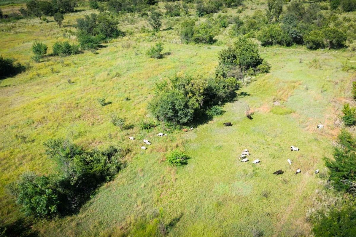 22ha Farm for Sale – Prime Small-Scale Farming Opportunity - Photo 4