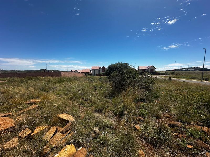 Prime Vacant Land Opportunity in Wild Olive Estate - Photo 5