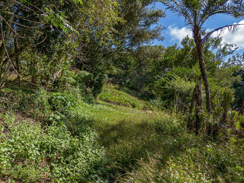 VACANT LAND - Photo 6