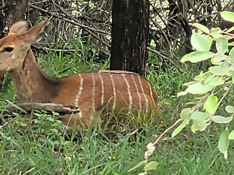 Embrace Tranquility - Prime Stand - Photo 4