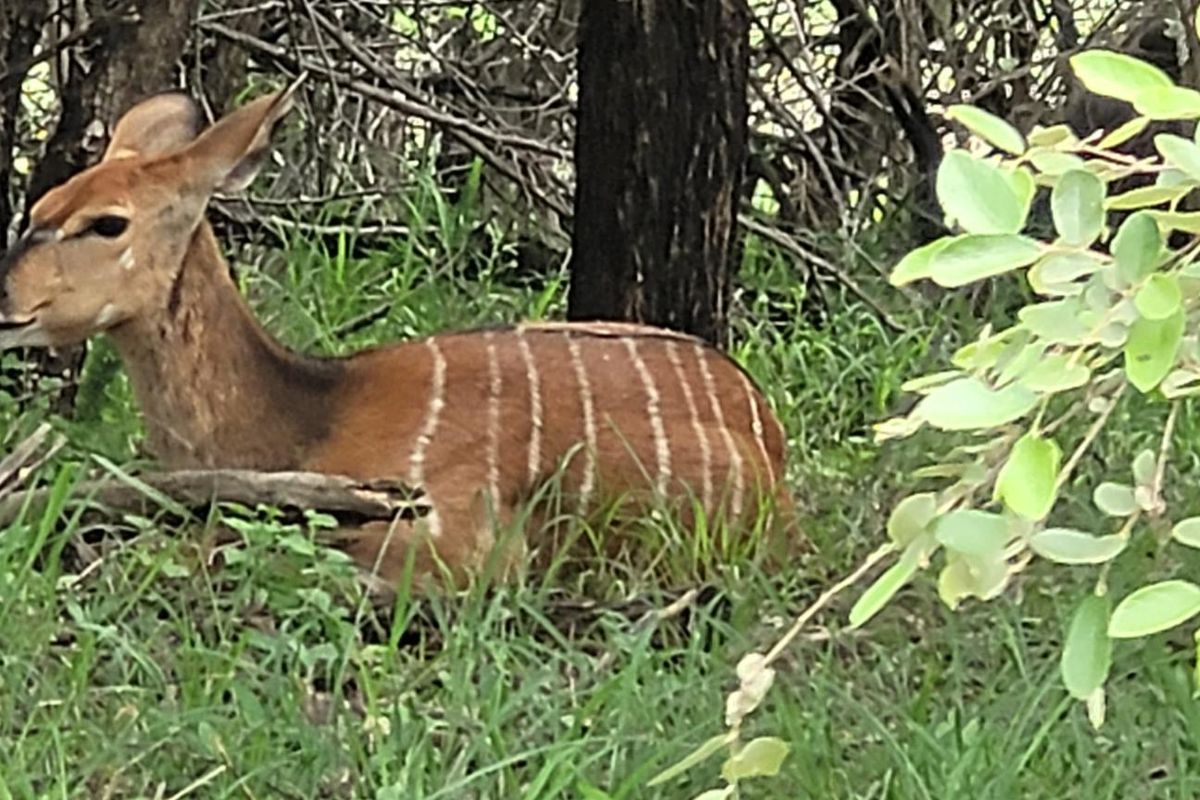 Embrace Tranquility - Prime Stand - Photo 4