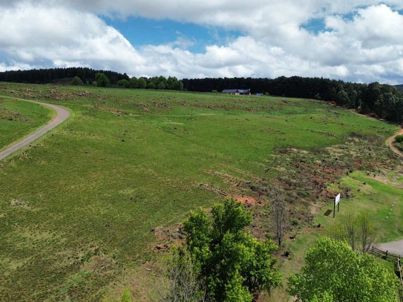 An aerial view of a large, open residential vacant land plot featuring rolling green hills, established trees, and direct access to a paved road.