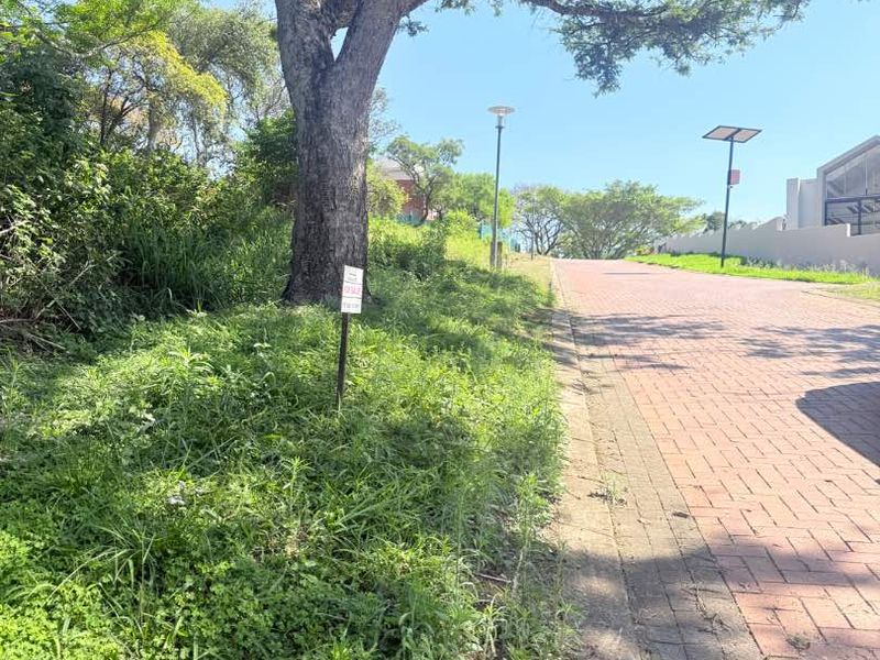 A view of the paved street access and mature trees bordering the vacant residential land.