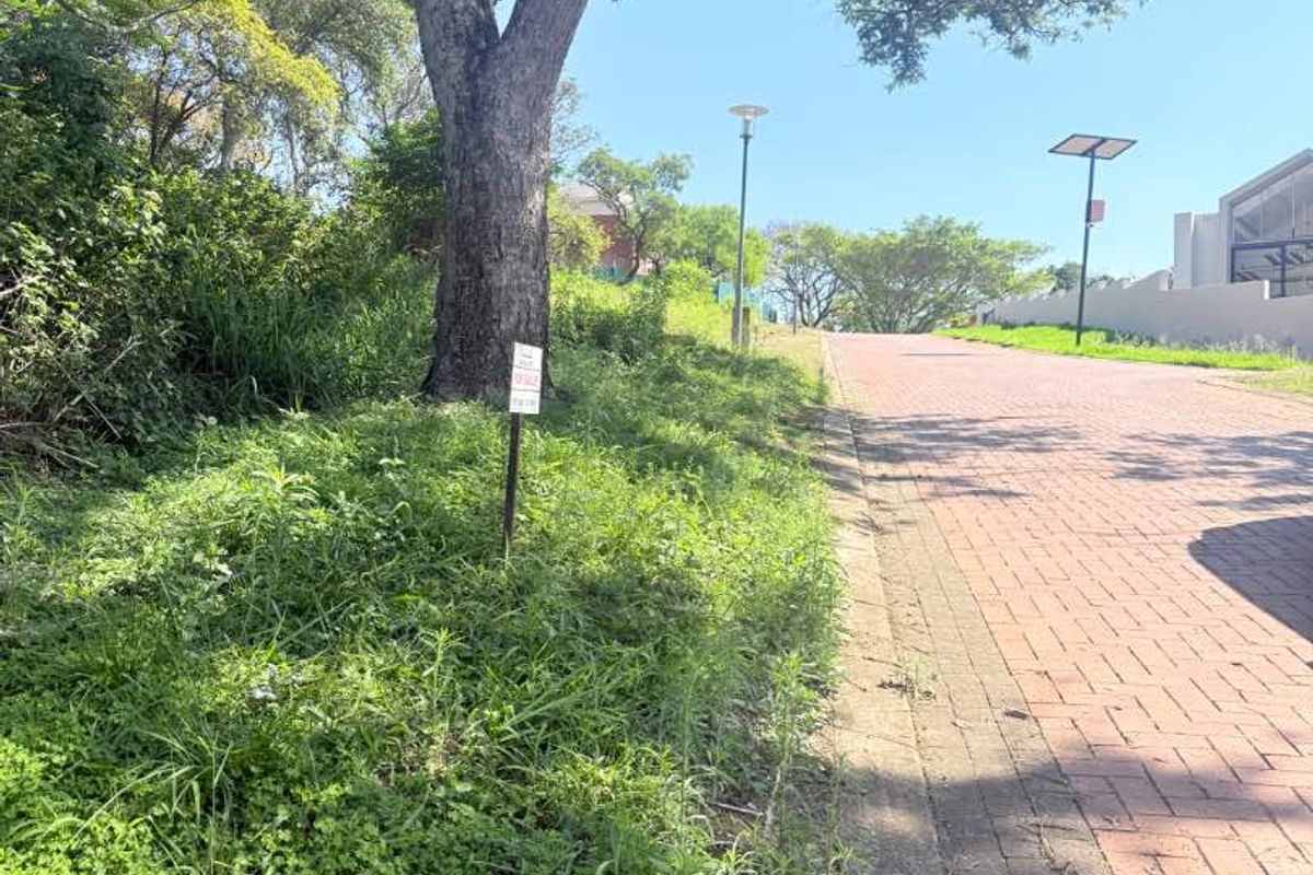A view of the paved street access and mature trees bordering the vacant residential land.